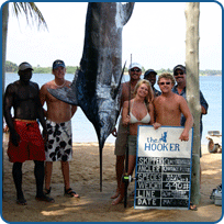 Bojenyns.com Bojenyns.com