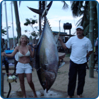 Bojenyns.com Bojenyns.com